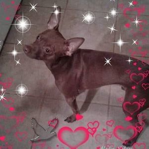 Meet your Posher, Norma